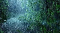 Rain: The Real Risk and What to Prepare For